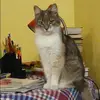 Отзыв от Эмилия Самсонова